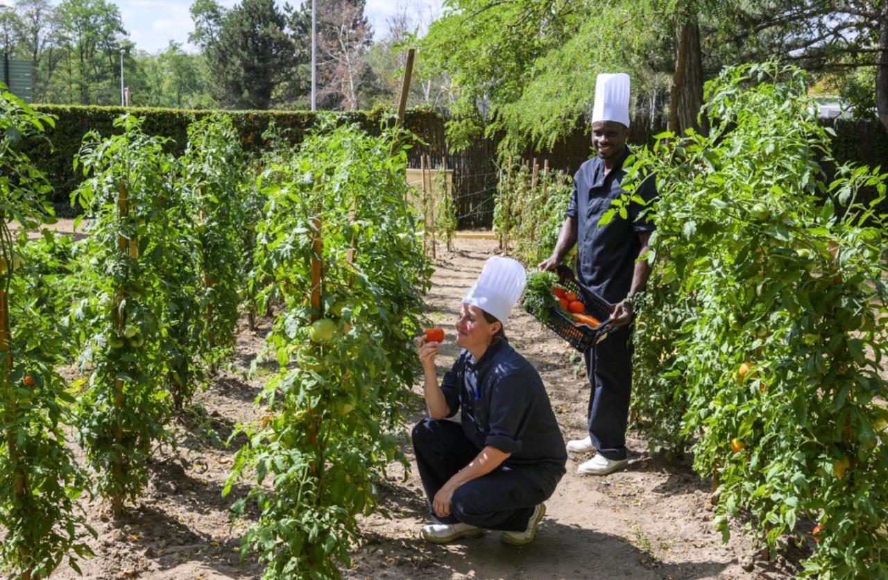 Demeures De Campagne Chemins De Sologne A Orleans Hotell Exteriör bild